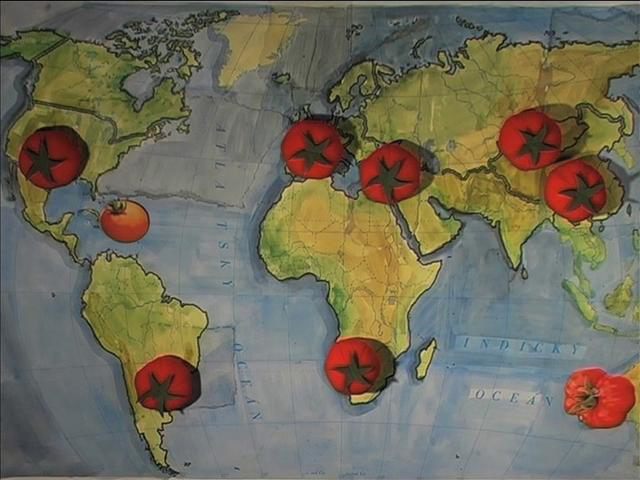 THE PEOPLE WHO TRY TO SAVE THE WORLD