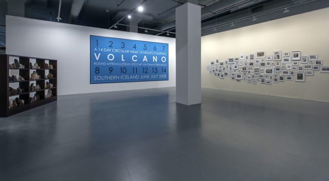 TILL IT'S GONE An Exhibition on Nature and Sustainability