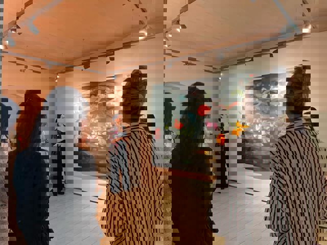  “European and American Art” Sergi Turu  