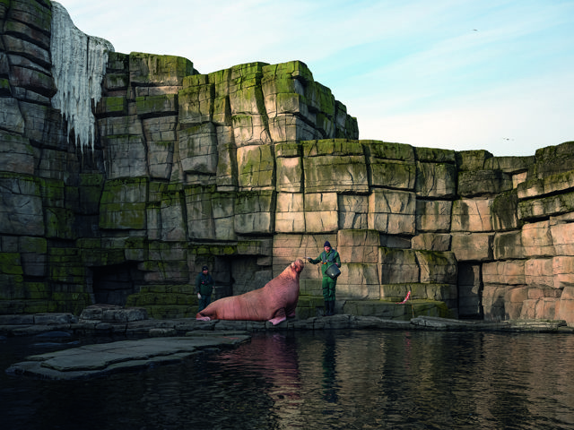 Panorama Konuşmaları