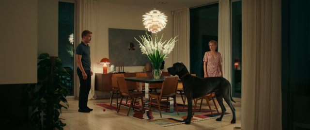 Oscar’ın Yabancıları