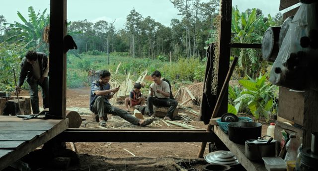 WE ARE THE FRUITS OF THE FOREST (NOUS SOMMES LES FRUITS DE LA FORÊT), 2025