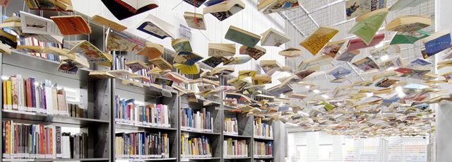 Ecology Meetings In The Library