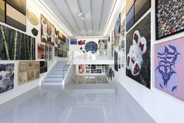Online Tour and a conversation on the Exhibition Eternal Summer