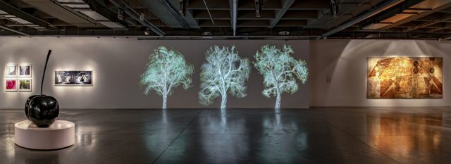 Online Tour: New Collection Exhibition