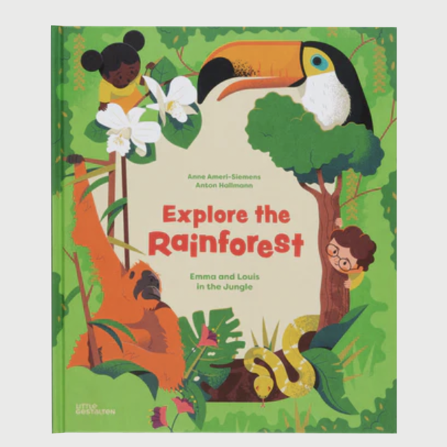 Explore The Rainforest