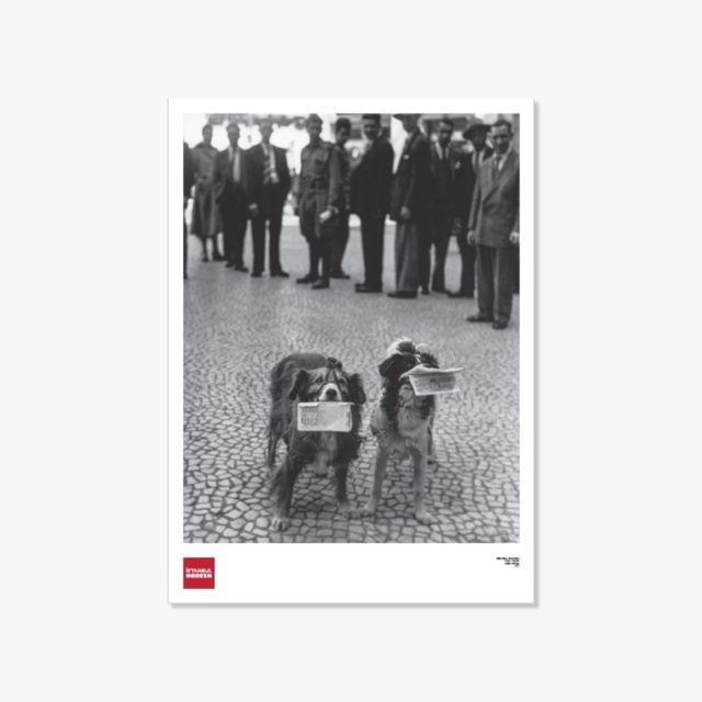 Poster - Yıldız Moran 