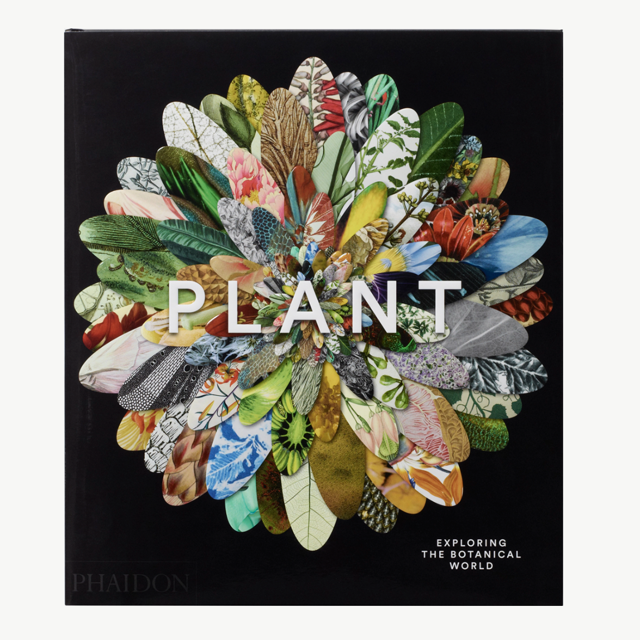 Plant: Exploring the Botanical World