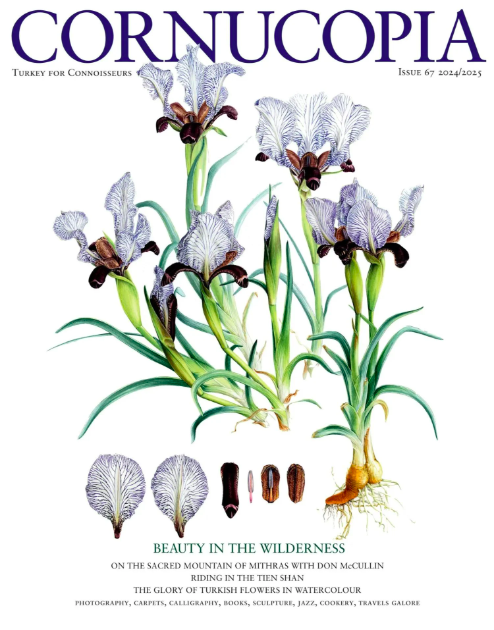 Cornucopia Vol 67