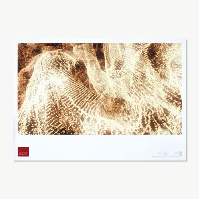 Poster - Pae White 