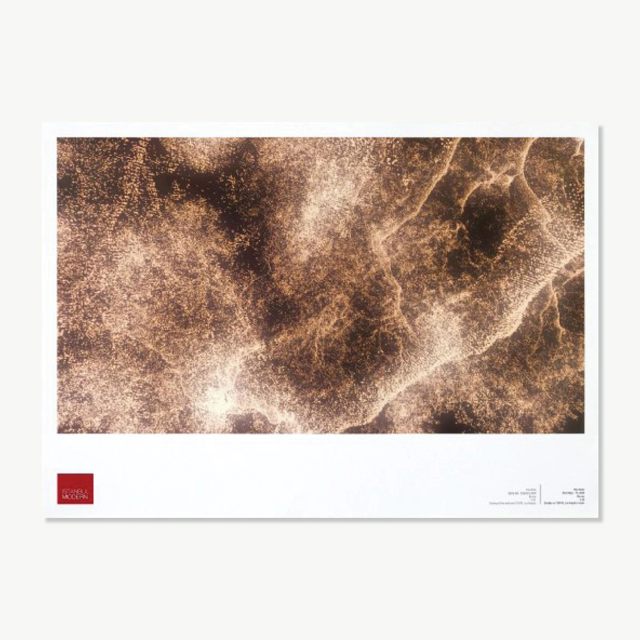 Poster - Pae White 