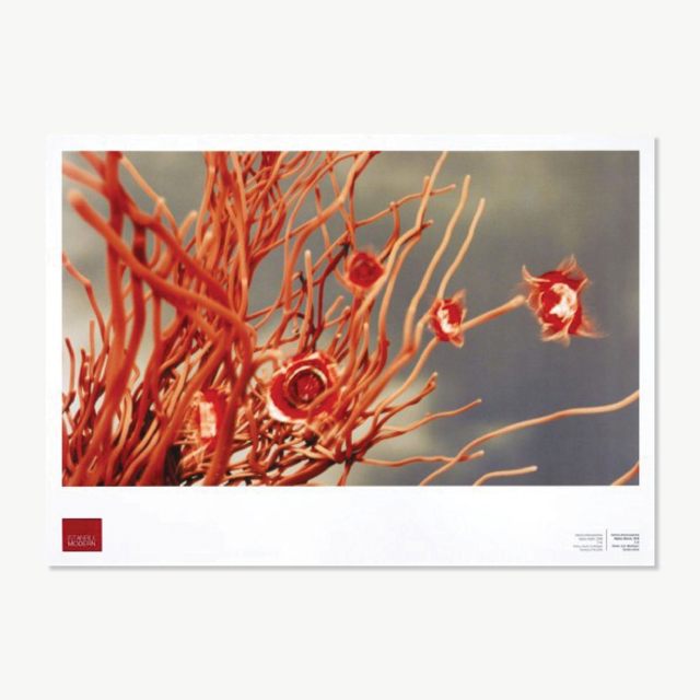 Poster - Katerina Athanasopoulou 