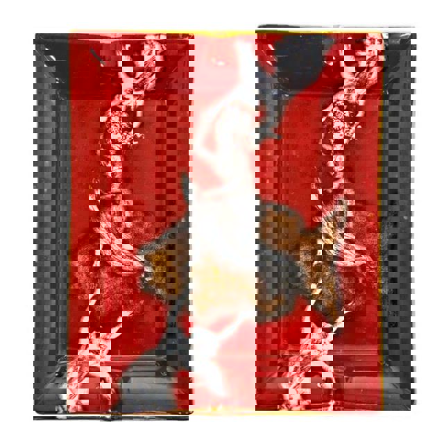 AAD - Ashtray - Angel Heart