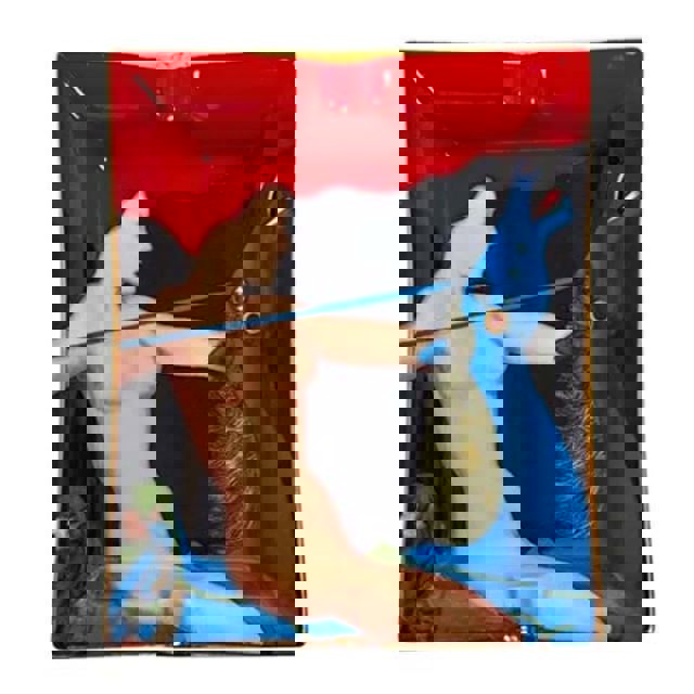 AAD - Ashtray - Amazon