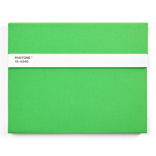 Pantone - Notebook - Green