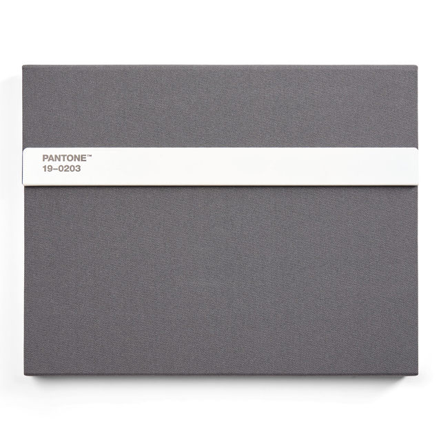Pantone - Notebook - Gray