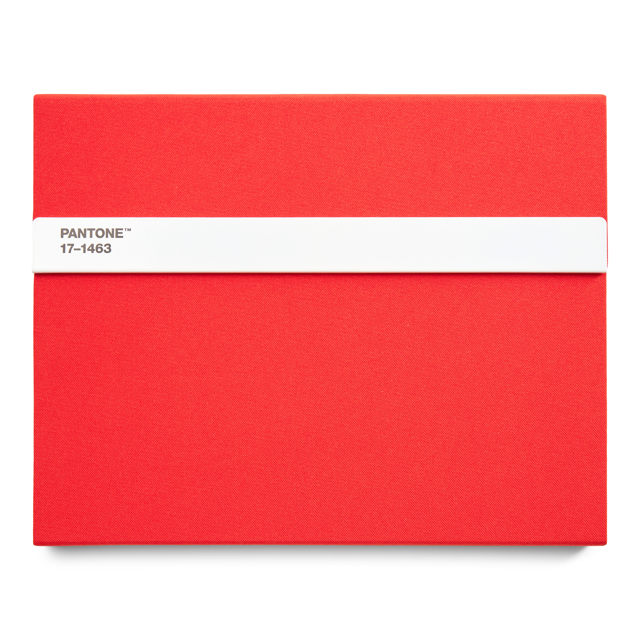Pantone - Notebook - Orange