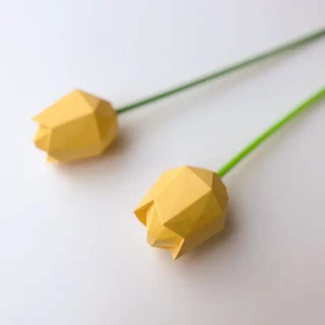 Formasupra - Flower - Tulip - Yellow
