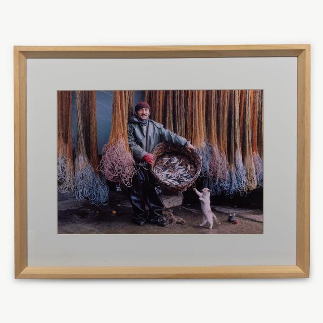 Reproduction - Ozan Sağdıç 
