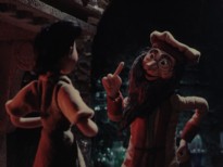 DİŞİL GÜZELLİK