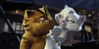 KÖTÜ KEDİ ŞERAFETTİN