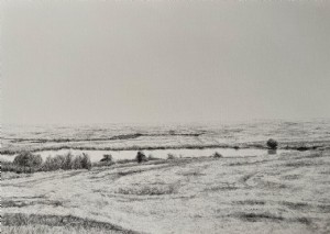 Okan Eltürk / İsimsiz